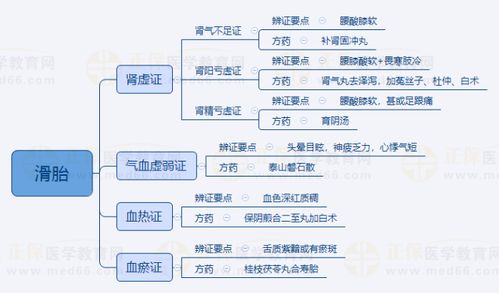 2024中醫執業醫師考試 中醫婦科學“滑胎”重點知識點思維導圖詳解（含金融外包類比）